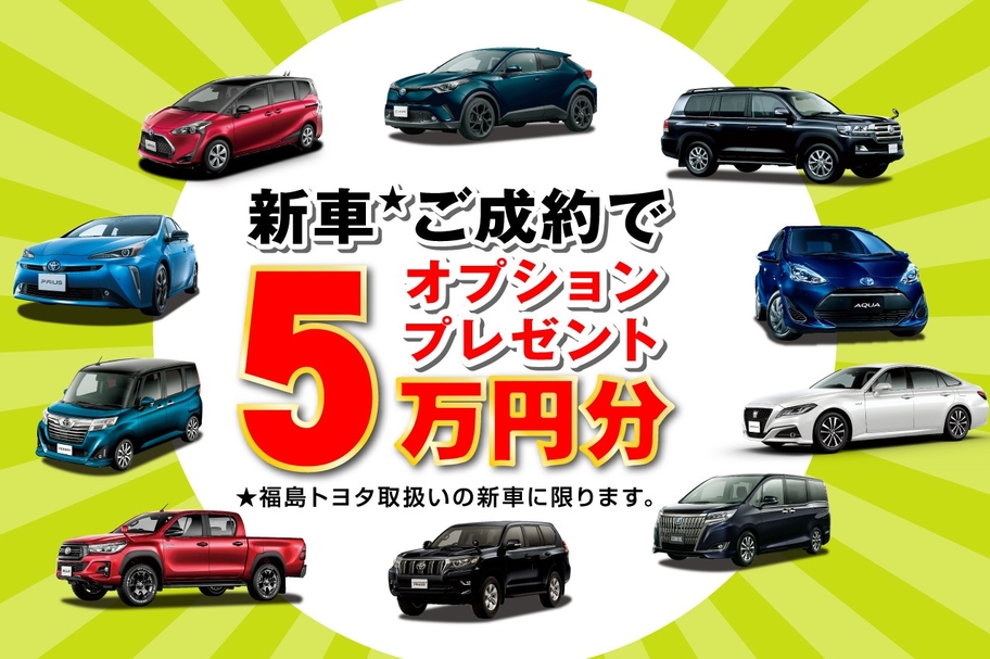 スーパーウィーク オプション5万円