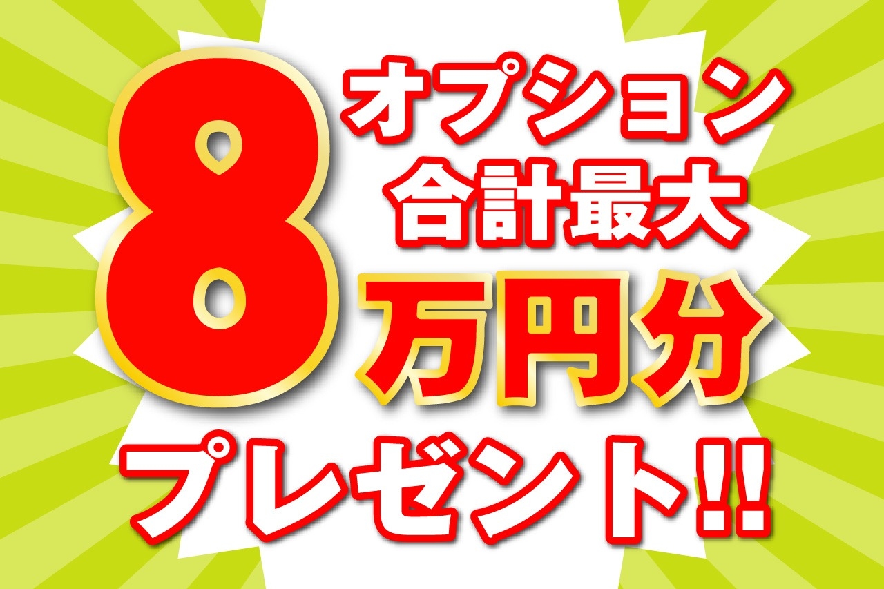 スーパーウィーク オプション8万円分
