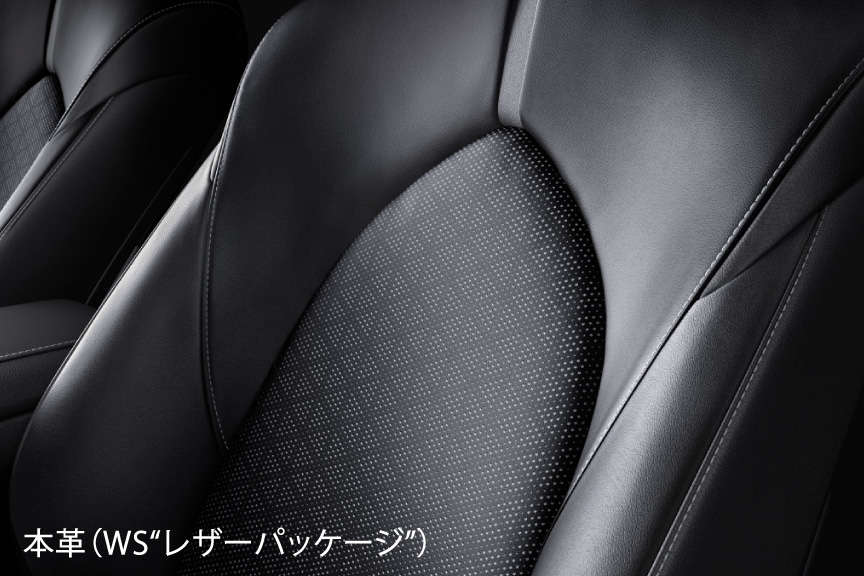 camry_grade_img24