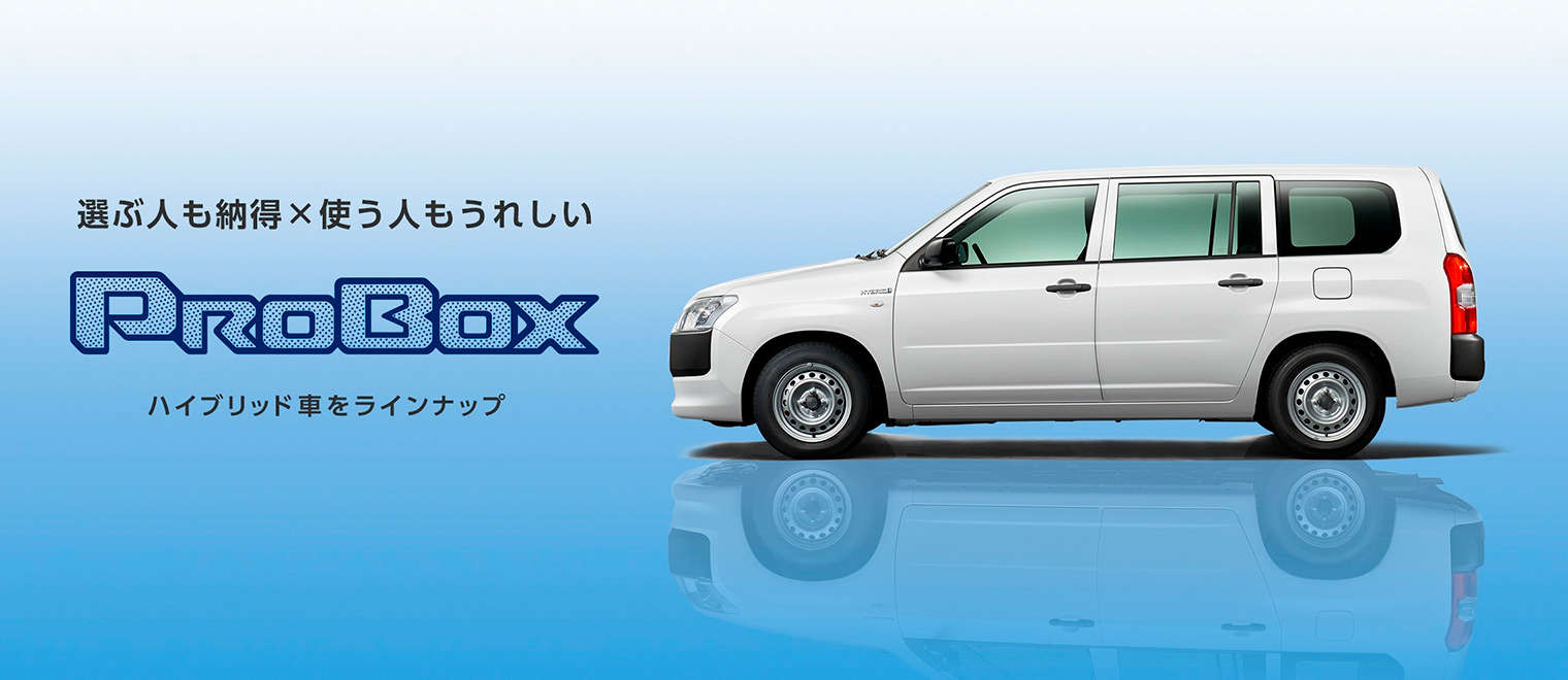 2005 プロボックス