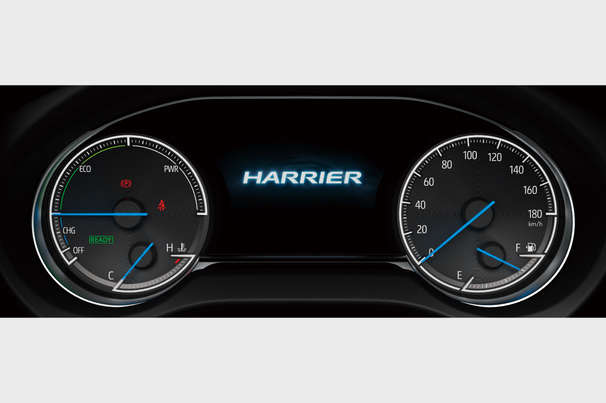 harrier_grade_img10