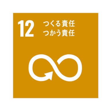 SDGs_12