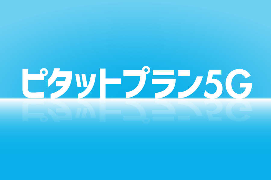 ピタットプラン5G_お得な料金プラン_【21年4月~】携帯・スマホを購入したい
