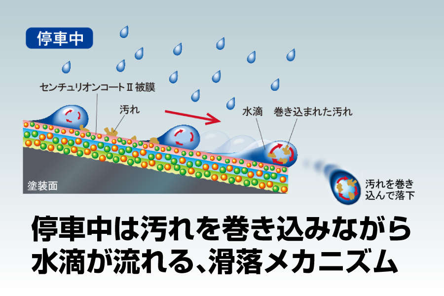 QMIセンチュリオンコート Ⅱ