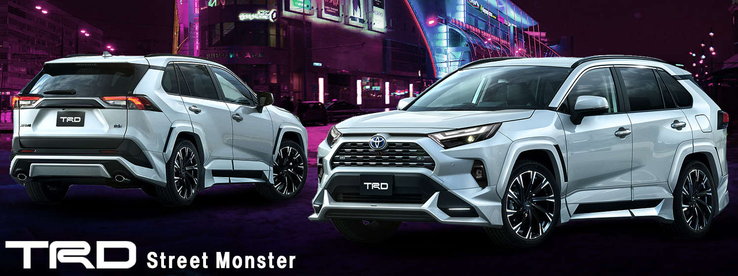 【’21年12月～】【TRD】 Street Monster PC用