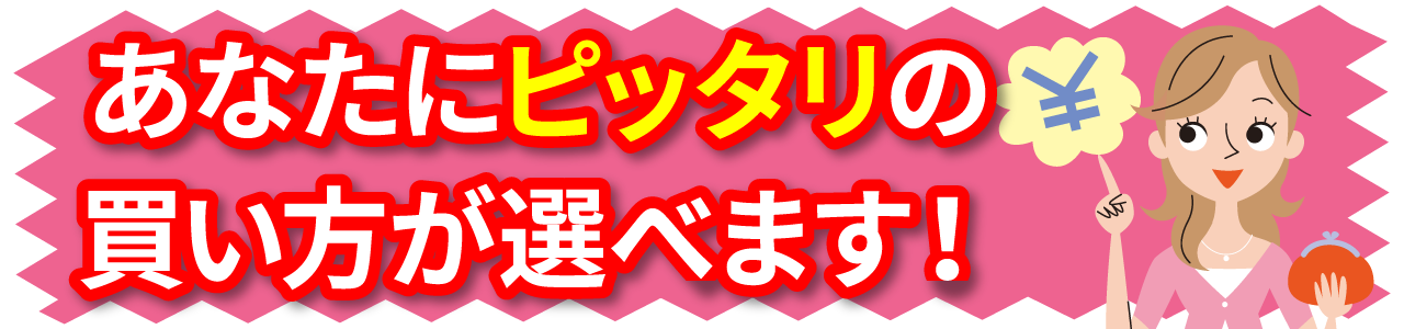 ピッタリの買い方 PC