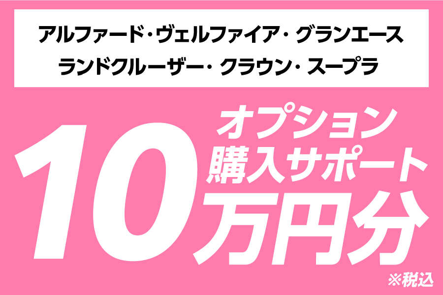 web_op_10