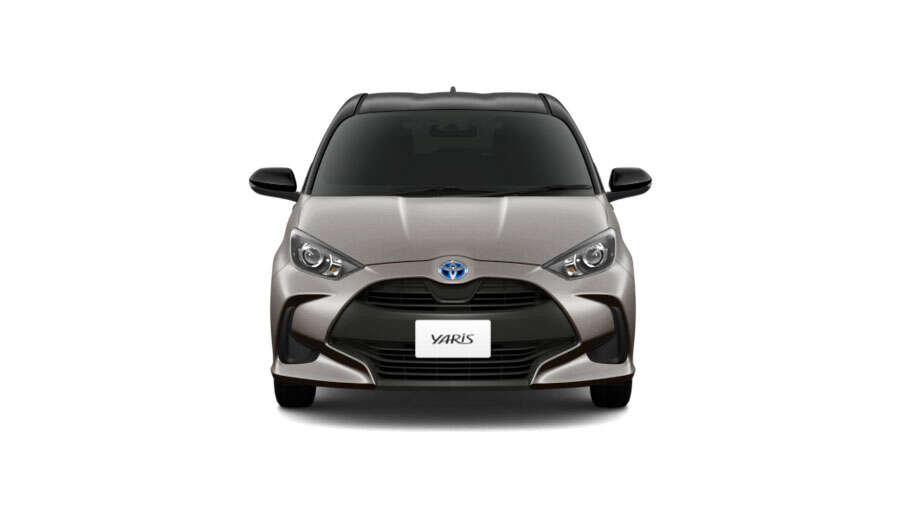 ブラック〈202〉×アバンギャルドブロンズメタリック〈4V8〉［2SQ］フロント