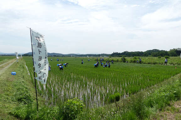 P1010046