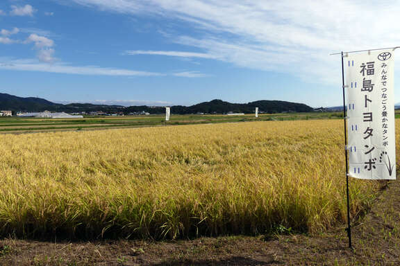 250927_福島トヨタンボ_1