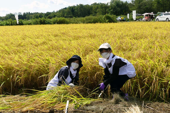 250927_福島トヨタンボ_6