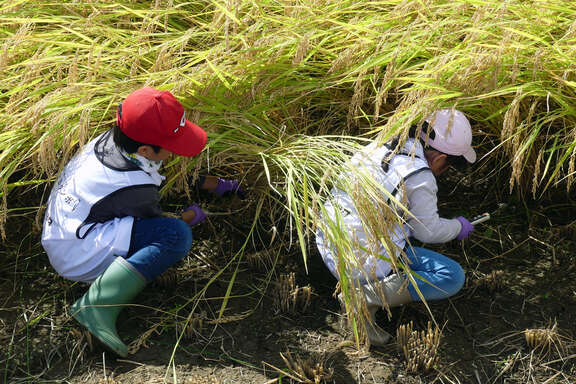 250927_福島トヨタンボ_5