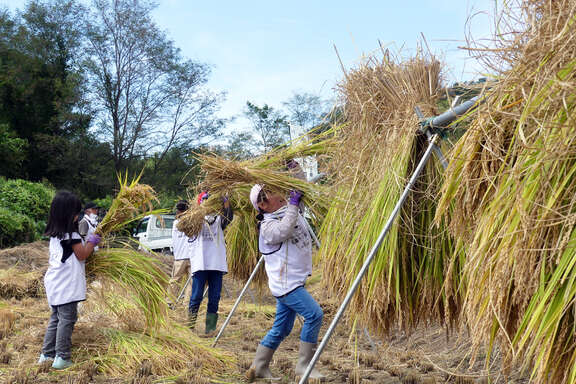250927_福島トヨタンボ_7