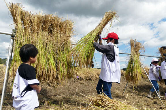 250927_福島トヨタンボ_8