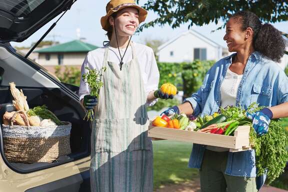 【モデル入り素材】Z（ガソリン・2WD）