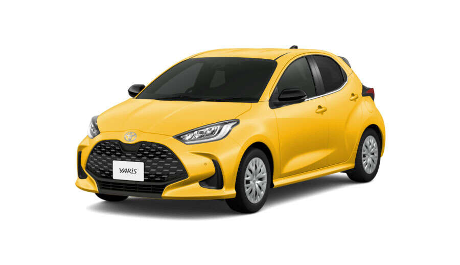 マスタード〈5C5〉フロントサイド