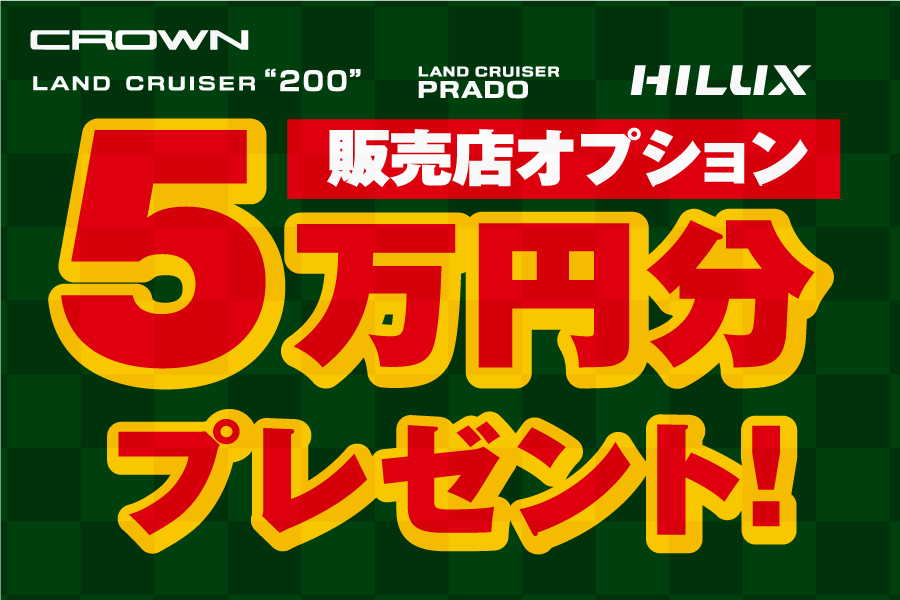スーパーウィーク 5万円分