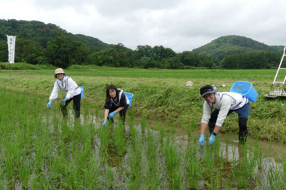 0704_kusatori_8