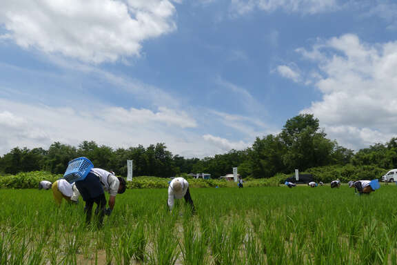 0704_kusatori_2