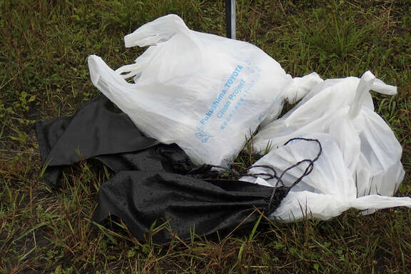 PSF260808_1