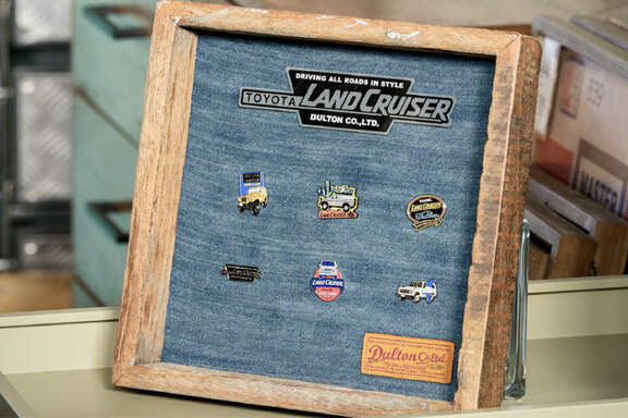 PINS