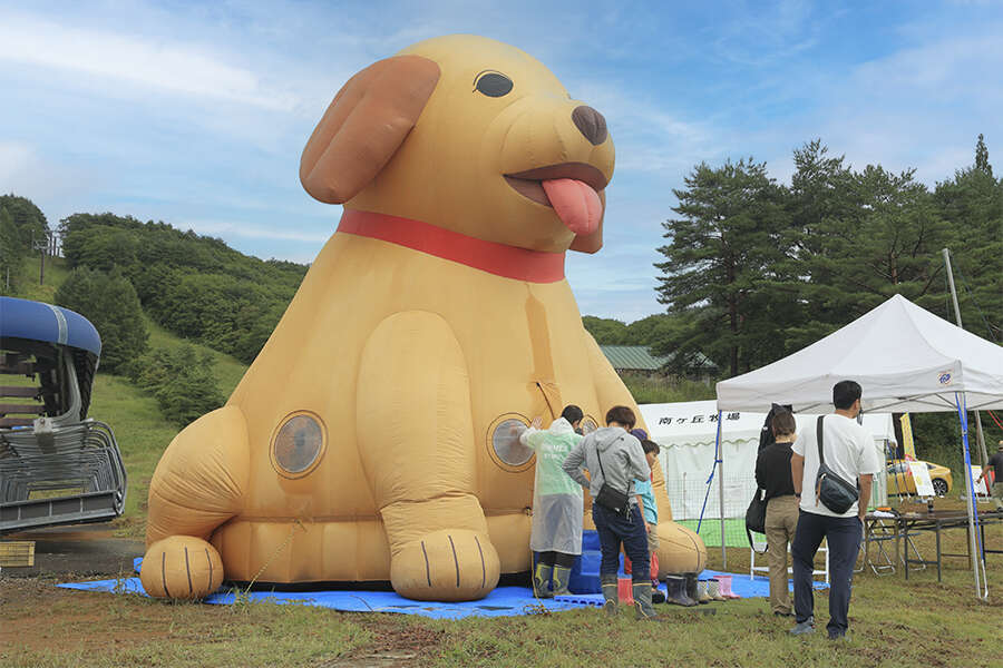 ヤマフェス アクティビティ