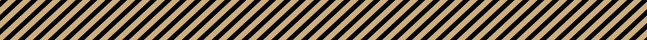 ランクルフェス