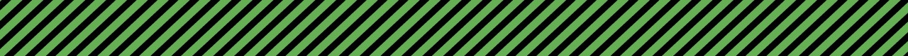 ランクルフェス