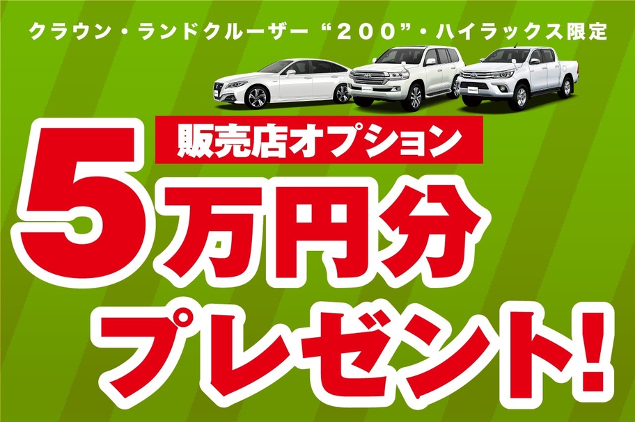 スーパーウィーク オプション5万円分プレゼント
